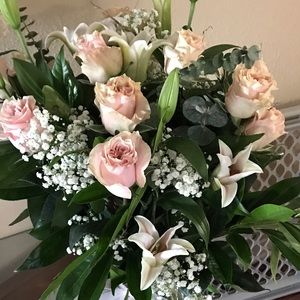 Meet your Posher, Dianelys